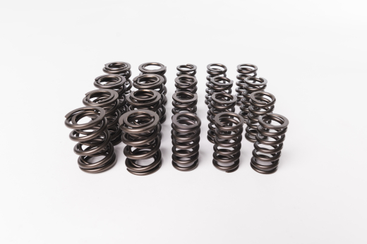 CatCams Valve Spring Kit for 1.8T