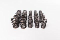 CatCams Valve Spring Kit for 1.8T