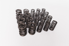 CatCams Valve Spring Kit for 1.8T