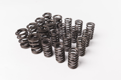 CatCams Valve Spring Kit for 1.8T