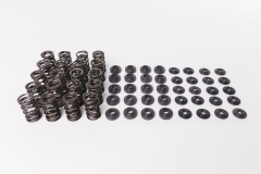 CatCams Valve Spring Kit for Audi TTRS and RS3