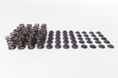 CatCams Valve Spring Kit for Audi TTRS and RS3