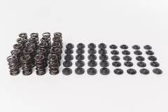 CatCams Valve Spring Kit for Audi TTRS and RS3