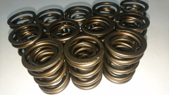 CatCams Valve spring Kit for VR6 12V engines