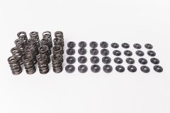 CatCams Valve Spring Kit for 2.0 TFSi & TSi